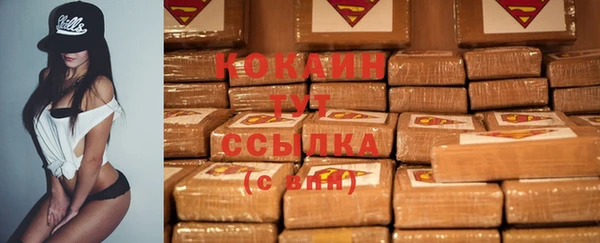 СК Белокуриха