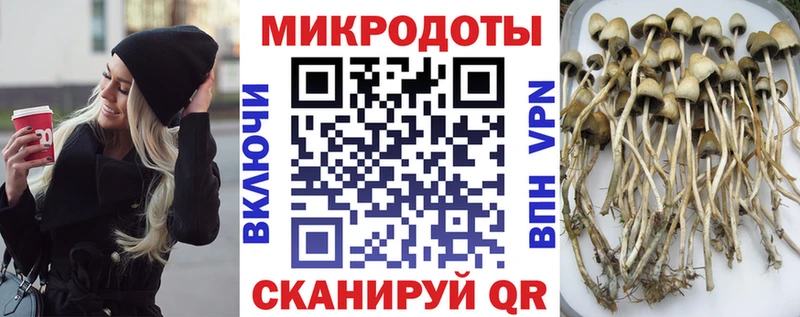 купить наркоту  Верхняя Пышма  mega онион  Псилоцибиновые грибы мухоморы 