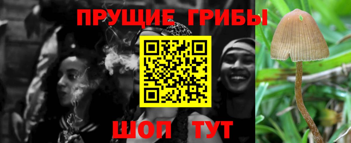 Верхняя Пышма  Галлюциногенные грибы Magic Shrooms  Вход с VPN 